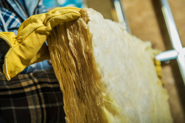 Best Residential Insulation in Binghamton University, NY
